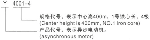 西安泰富西玛Y系列(H355-1000)高压YRKK5002-4三相异步电机型号说明