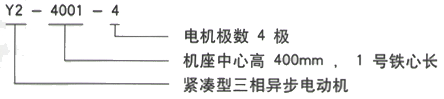 YR系列(H355-1000)高压YRKK5002-4三相异步电机西安西玛电机型号说明